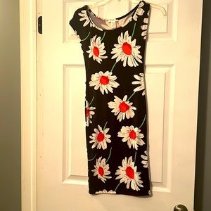 NWOT Capella Dress